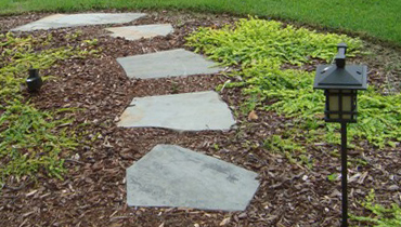 Green Earth Services, Inc. is one of South Carolina's largest and leading providers of quality landscape services