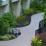 Green Earth Services, Inc. is one of South Carolina's largest and leading providers of quality landscape services