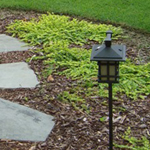 Green Earth Services, Inc. is one of South Carolina's largest and leading providers of quality landscape services